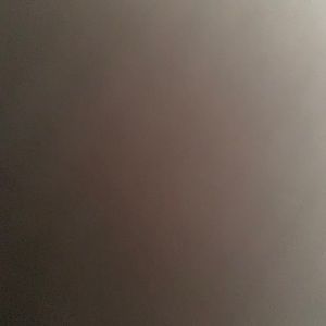 Lemon theory donation bundle